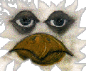 The GOOSE